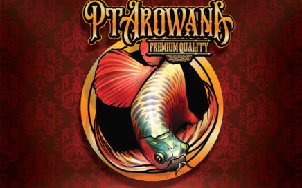 pt arowana ขายปลามังกร